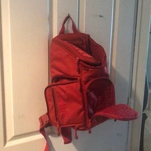 Multiple camera travel bag